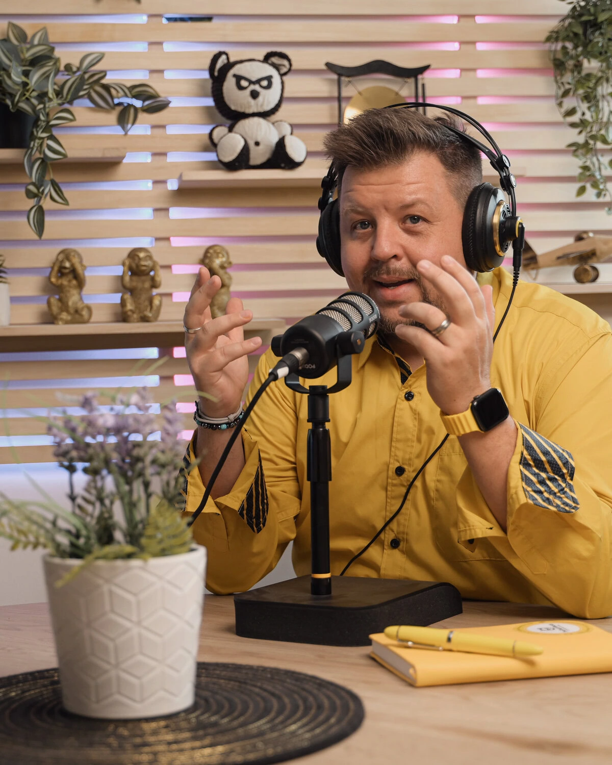 Podcast Marketing Experte Daniel Friesenecker Linz